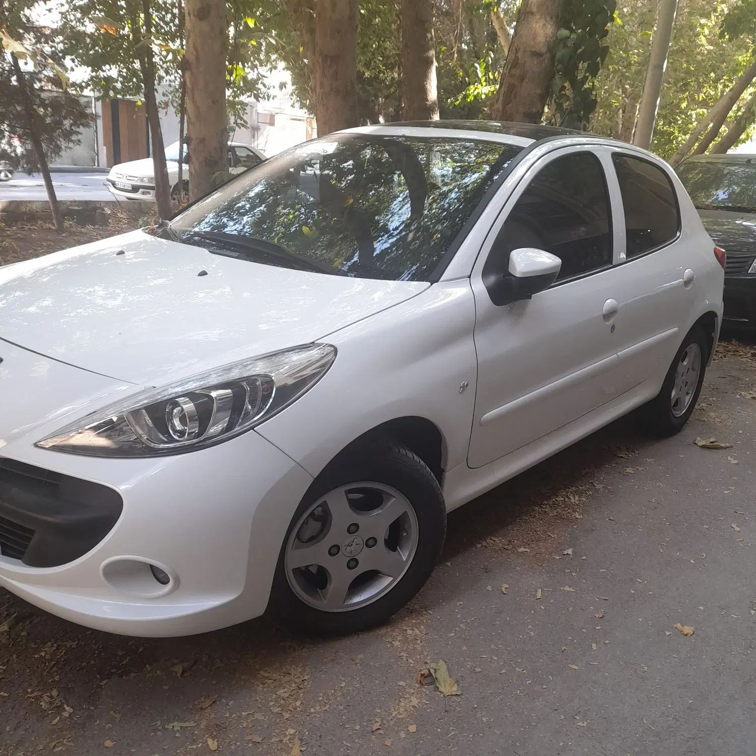 خودرو پژو، 207 آگهی ann_20114287