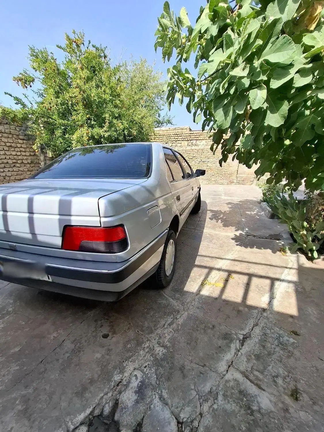 پژو 405 GLX - دوگانه سوز - 1391