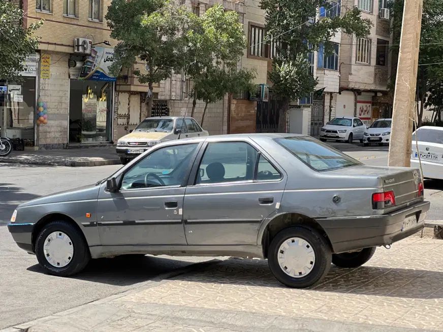 پژو 405 GLX - دوگانه سوز - 1389