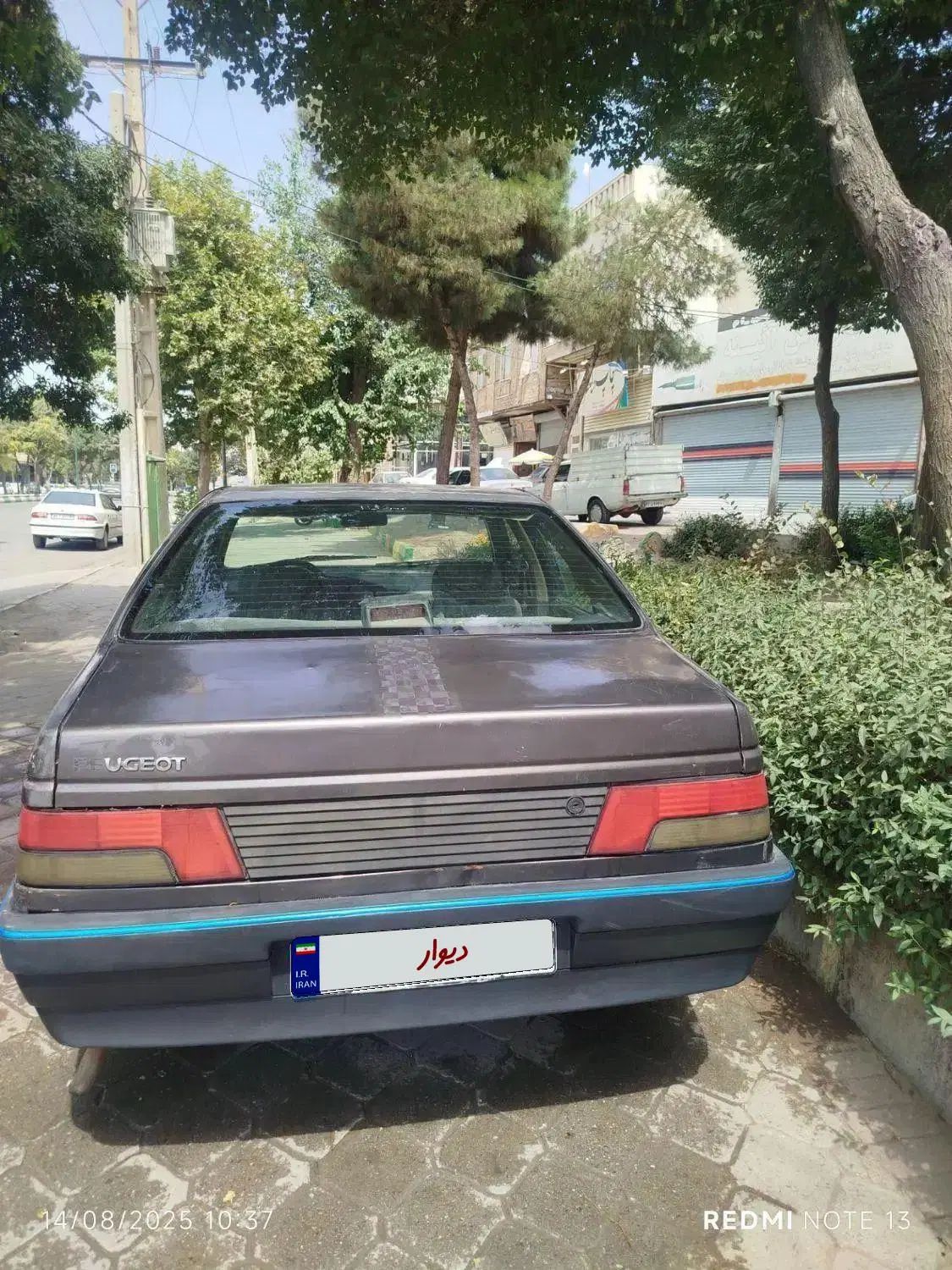 پژو آردی دوگانه سوز CNG - 1385