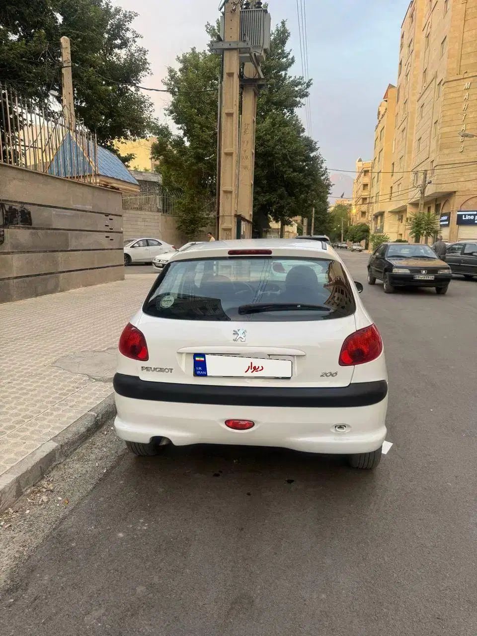 پژو 206 تیپ 2 - 1401