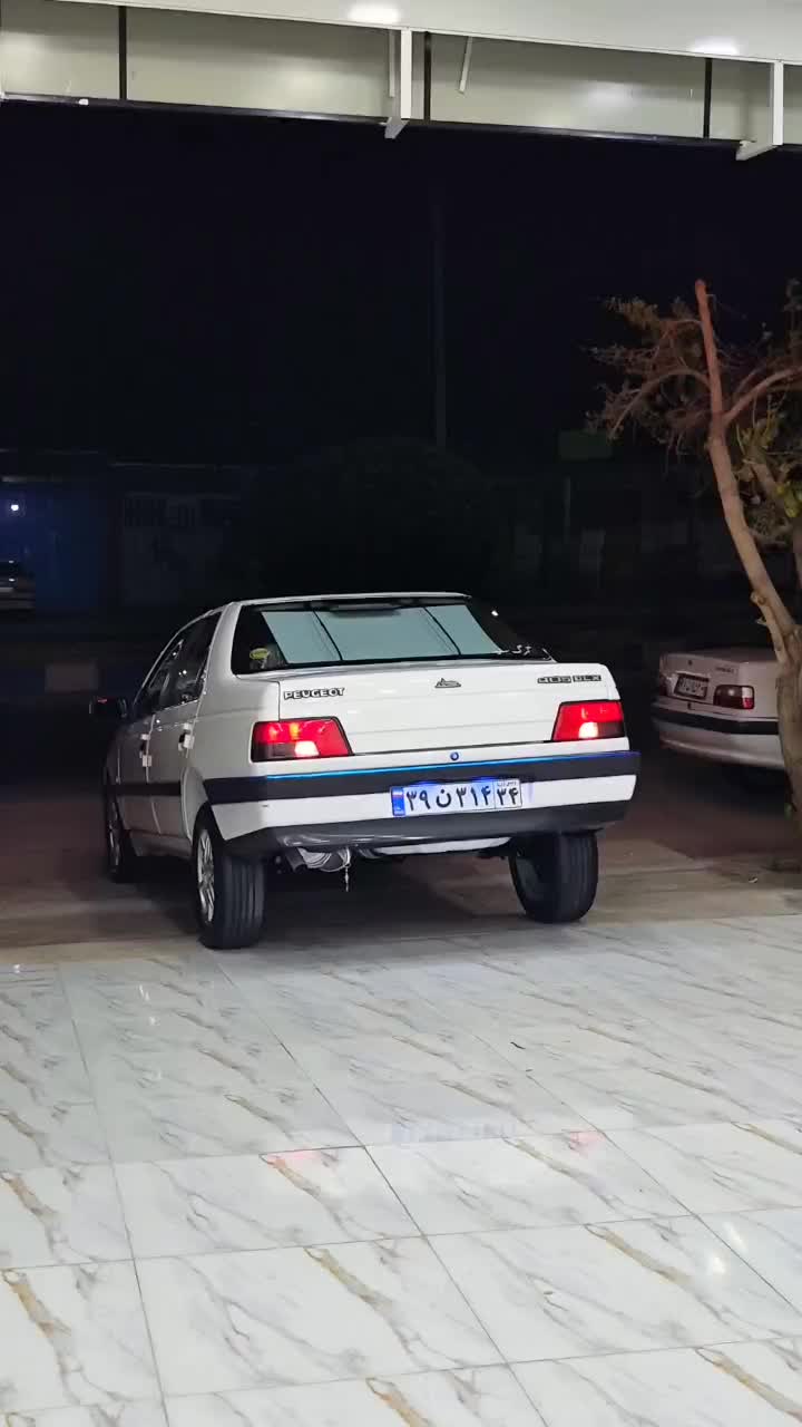پژو 405 SLX بنزینی TU5 - 1391