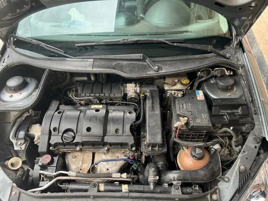 پژو ۲۰۶ صندوق دار v8 - 1395
