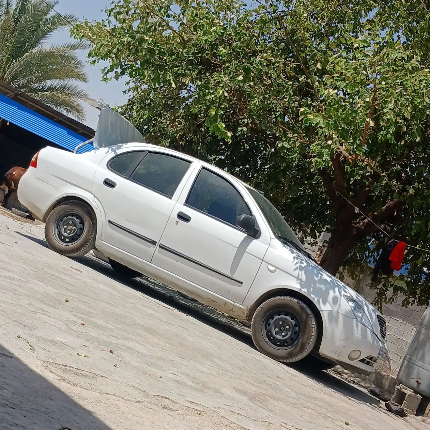 خودرو تیبا، صندوق دار آگهی ann_20118957