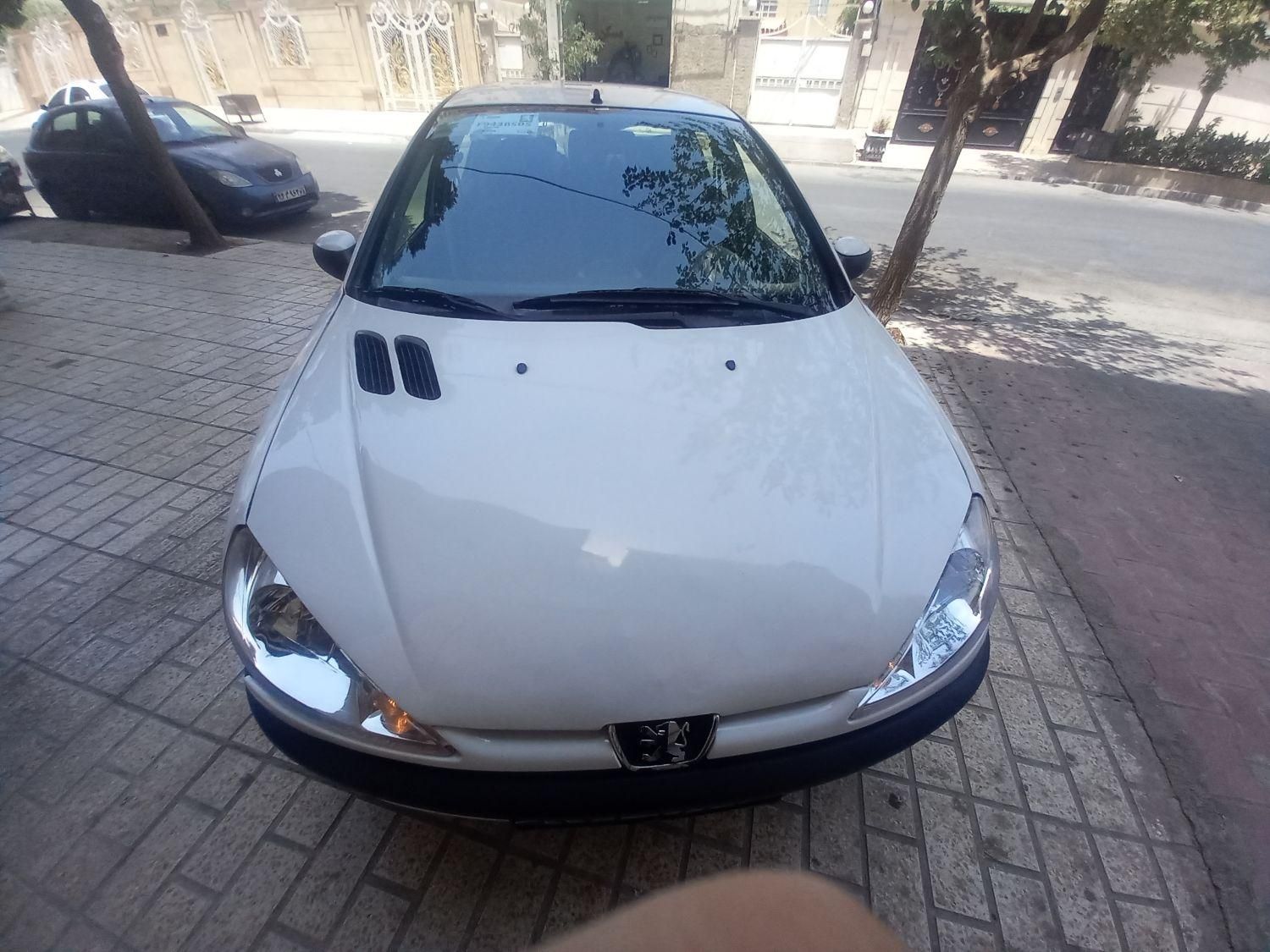 پژو ۲۰۶ صندوق دار v8 - 1399