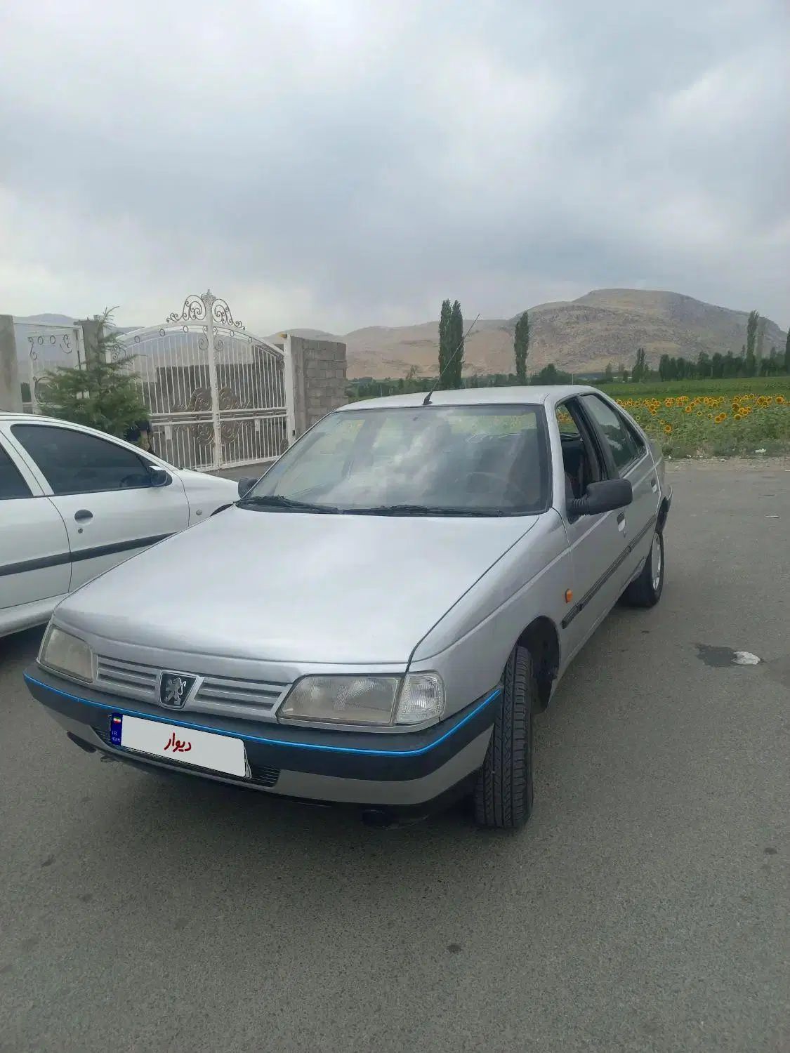 پژو 405 GLX - 1384