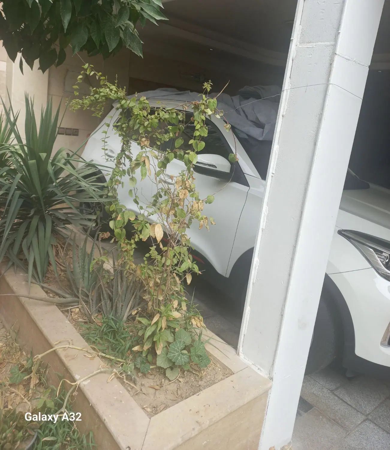 ام وی ام X55 پرو IE - 1402