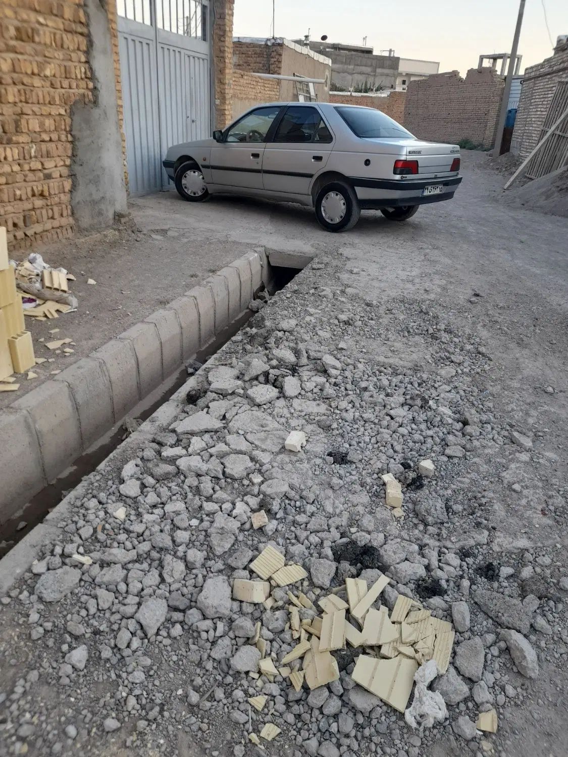 پژو 405 GLX - دوگانه سوز - 1389