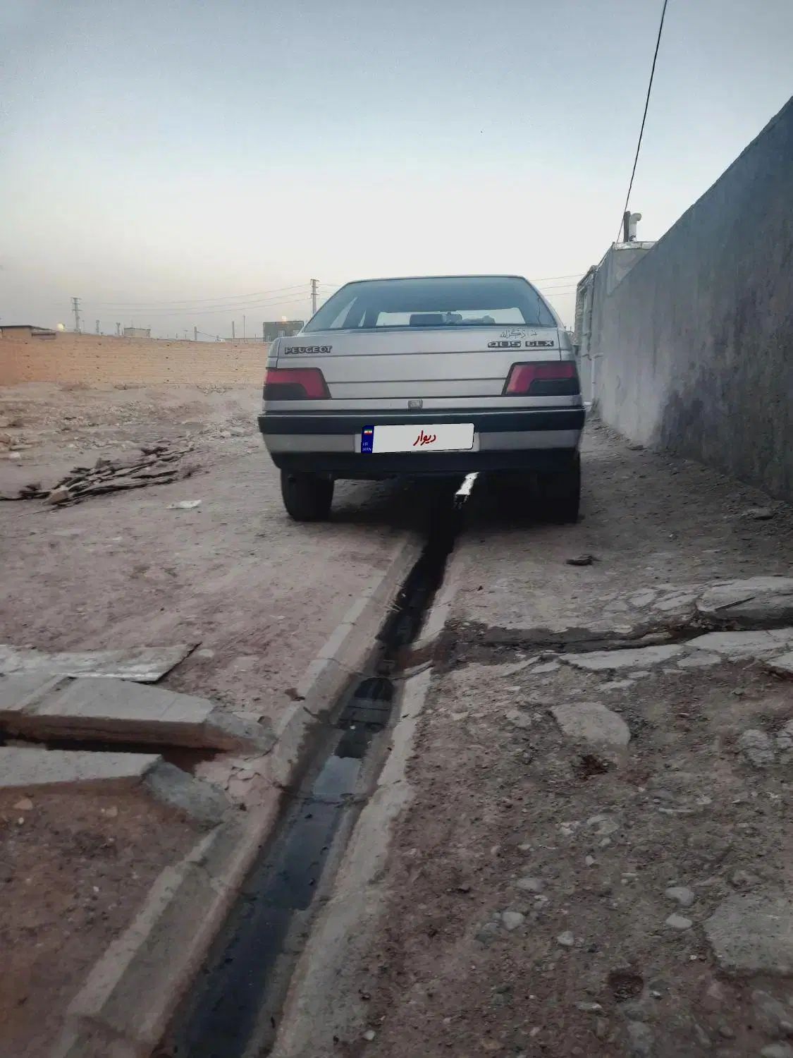 پژو 405 GLX - دوگانه سوز - 1389