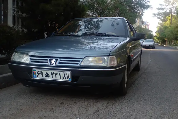 پژو 405 GLX - دوگانه سوز - 1393