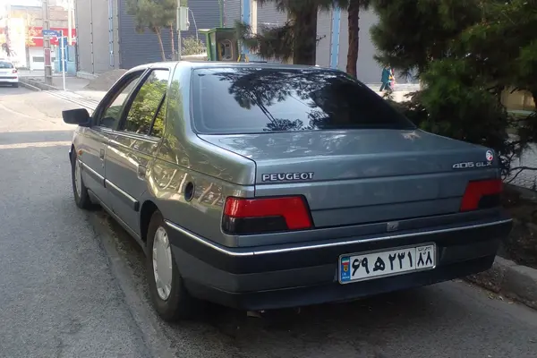پژو 405 GLX - دوگانه سوز - 1393