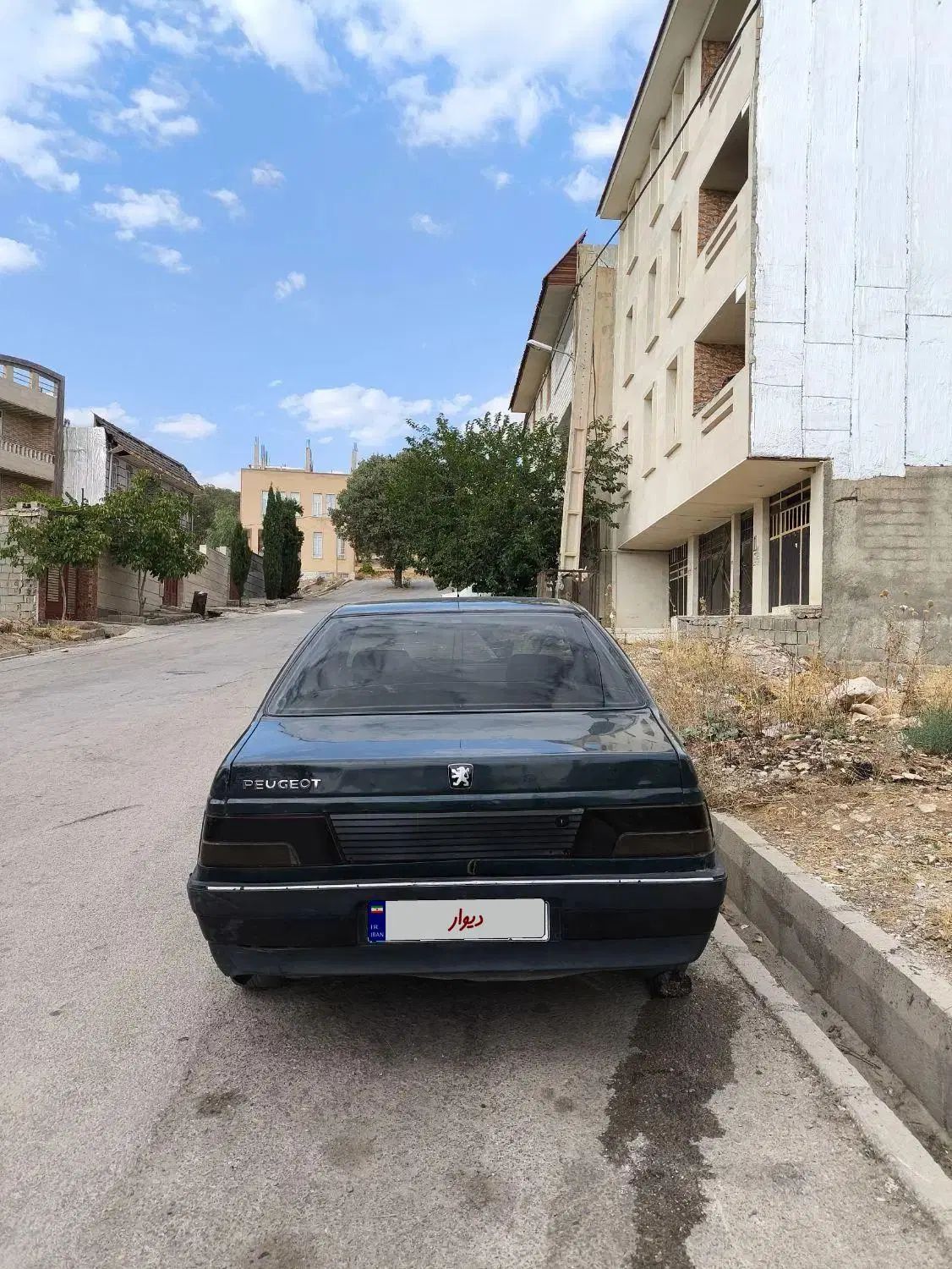 پژو آردی دوگانه سوز CNG - 1384