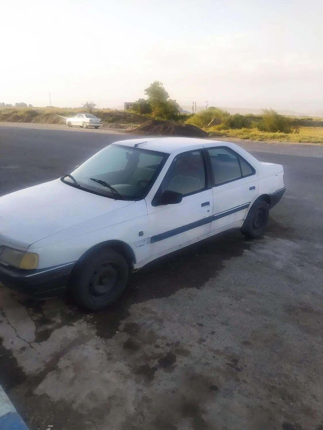 پژو آردی دوگانه سوز CNG - 1383