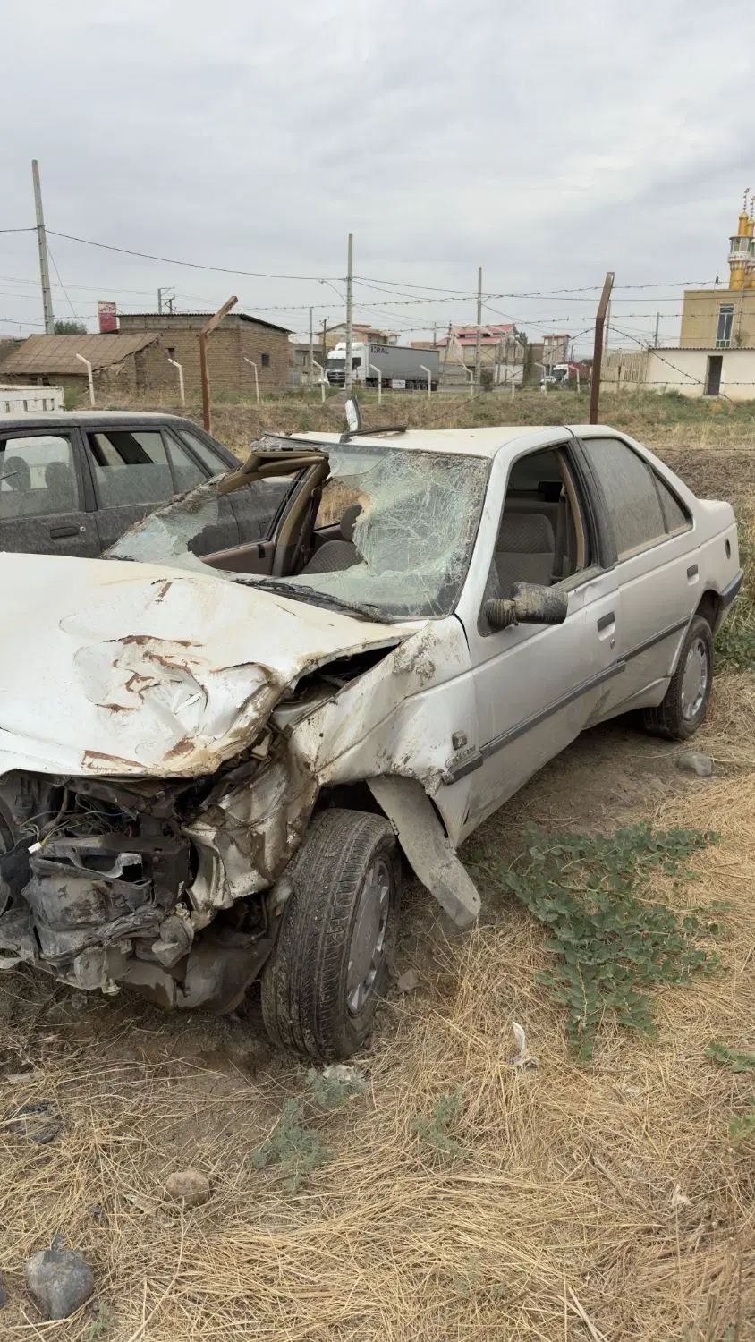 پژو 405 GLX - دوگانه سوز - 1390