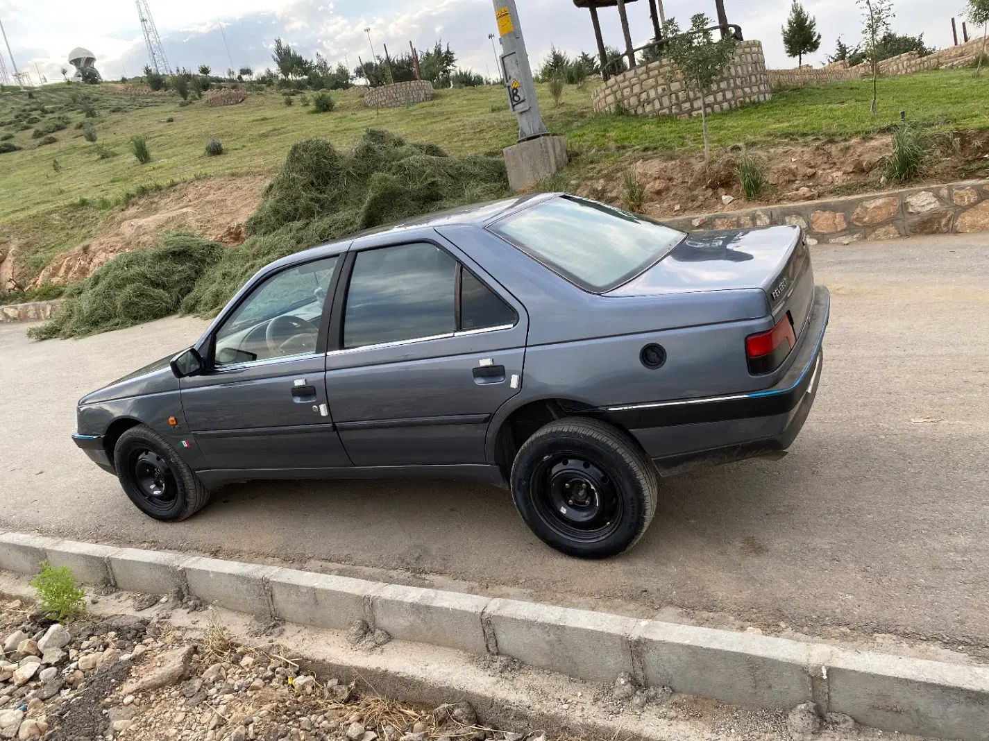 پژو 405 GLX - دوگانه سوز - 1394