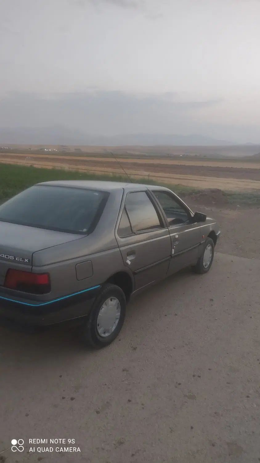 پژو 405 GLX - دوگانه سوز - 1393
