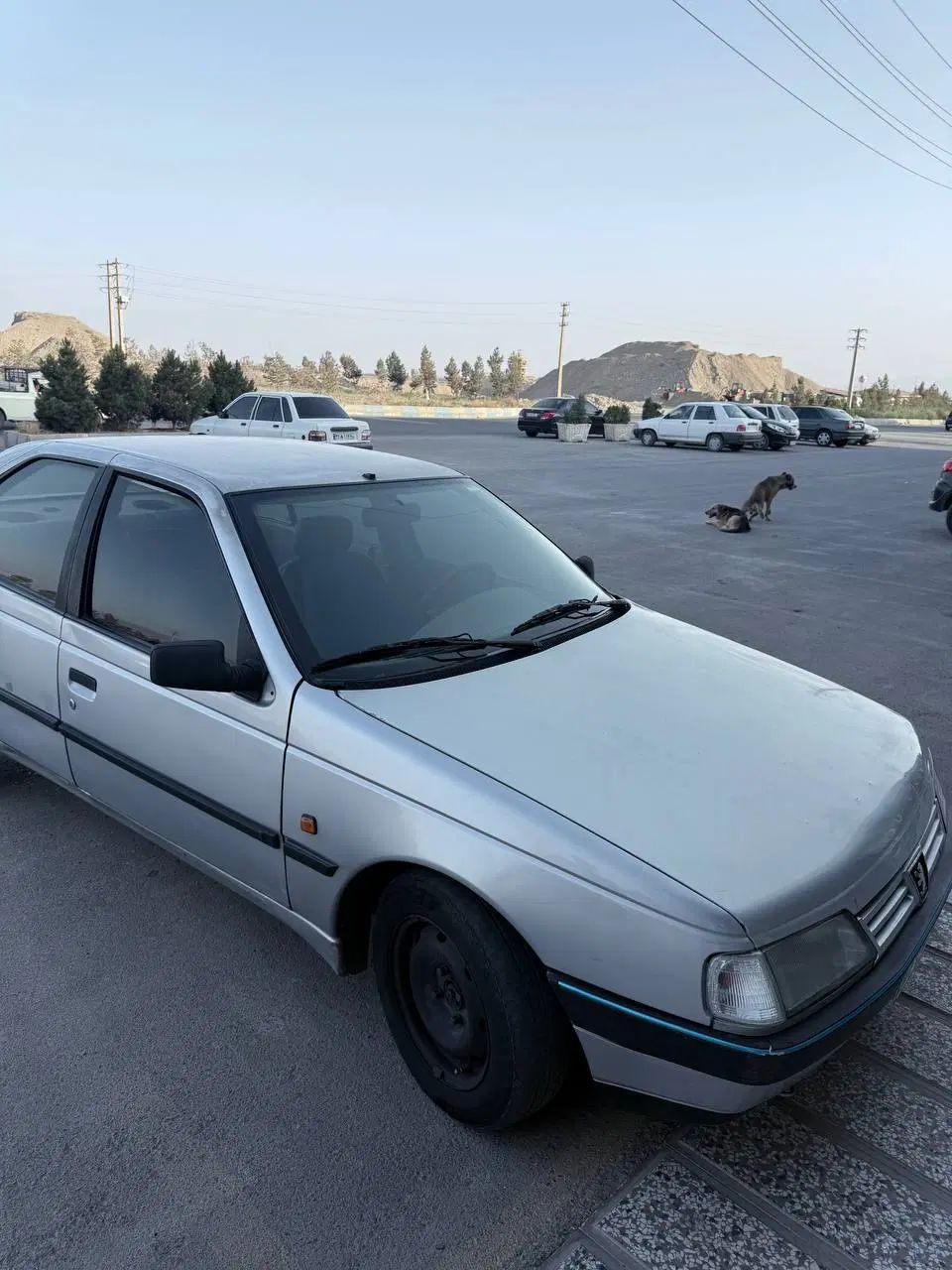 پژو 405 GLX - 1389