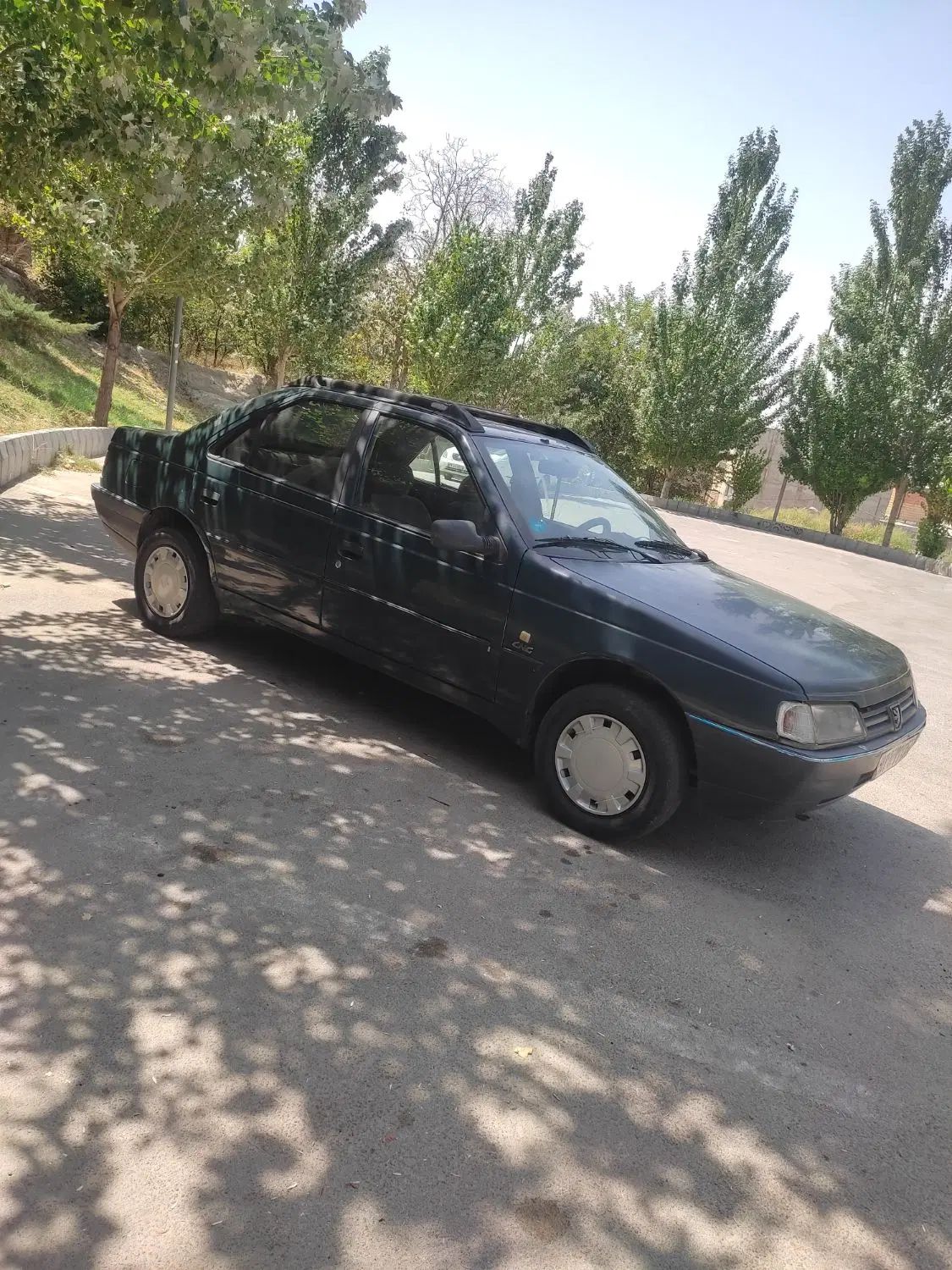 پژو آردی دوگانه سوز CNG - 1384