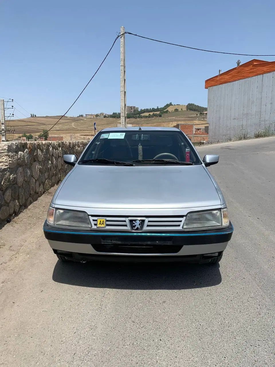 پژو 405 GLX - 1391