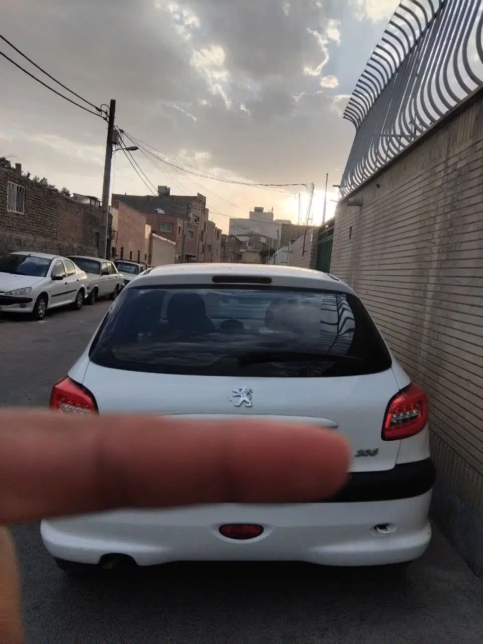 پژو 206 تیپ 5 - 1393