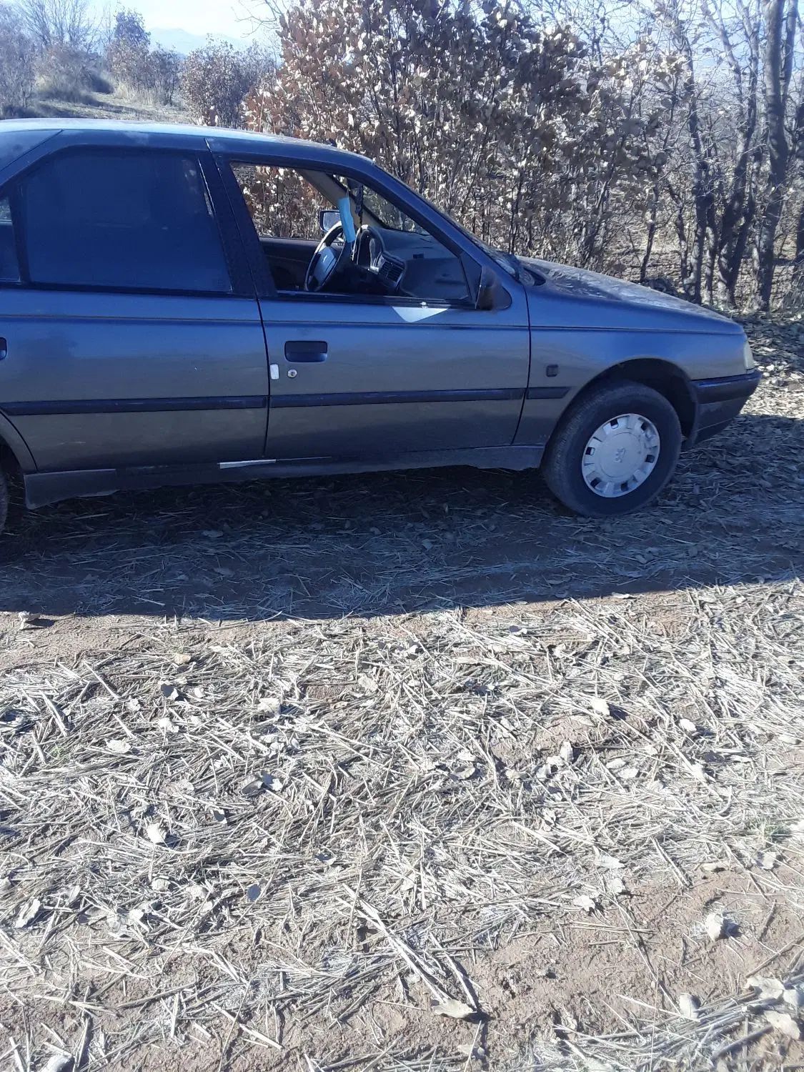 پژو 405 دوگانه سوز GLX - TU5 - 1395