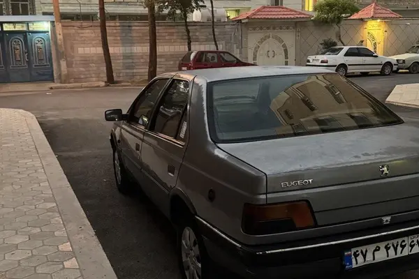 پژو 405 GLX - دوگانه سوز - 1389