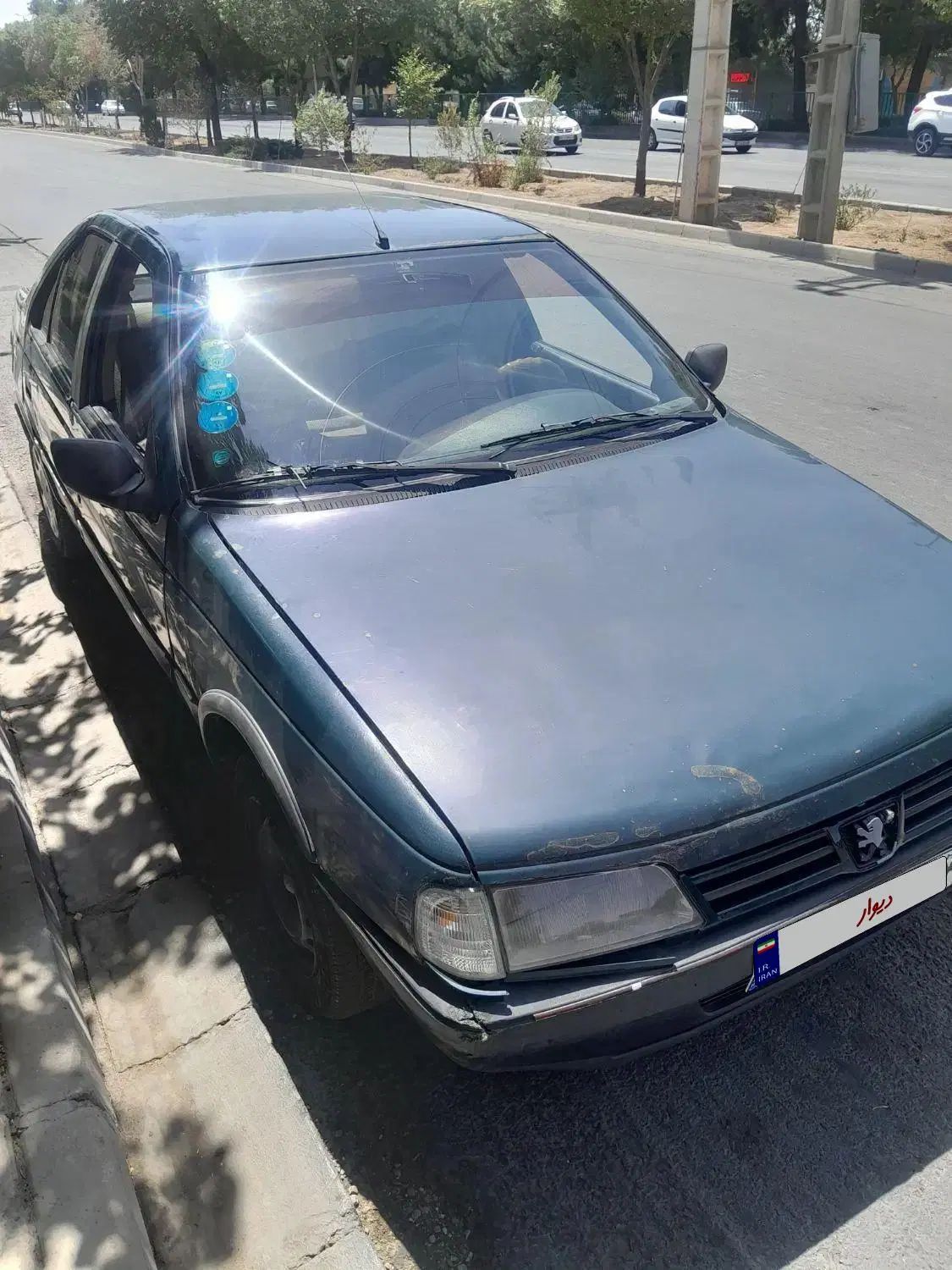 پژو آردی دوگانه سوز CNG - 1384