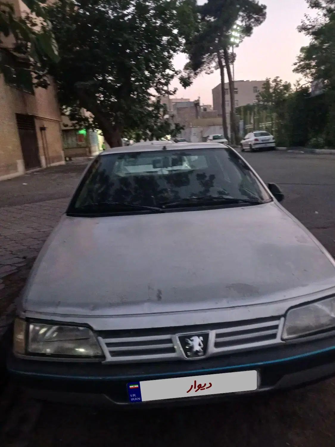 پژو 405 GLX - دوگانه سوز - 1389