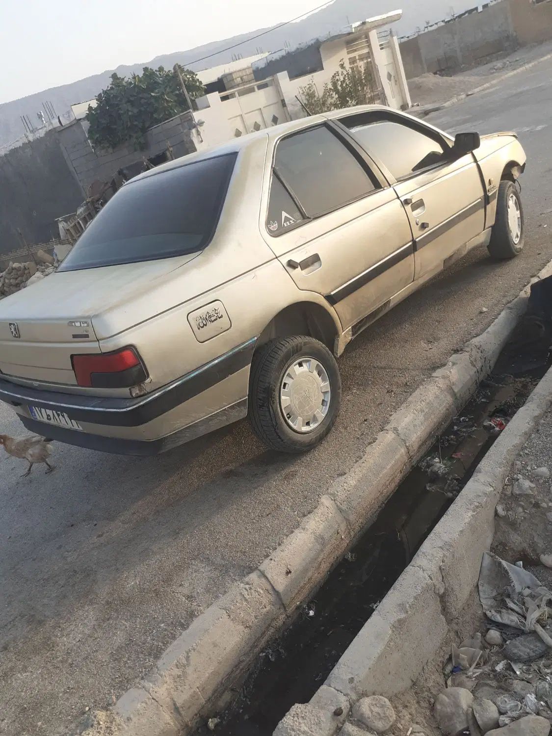 خودرو پژو، 405 آگهی ann_20156368