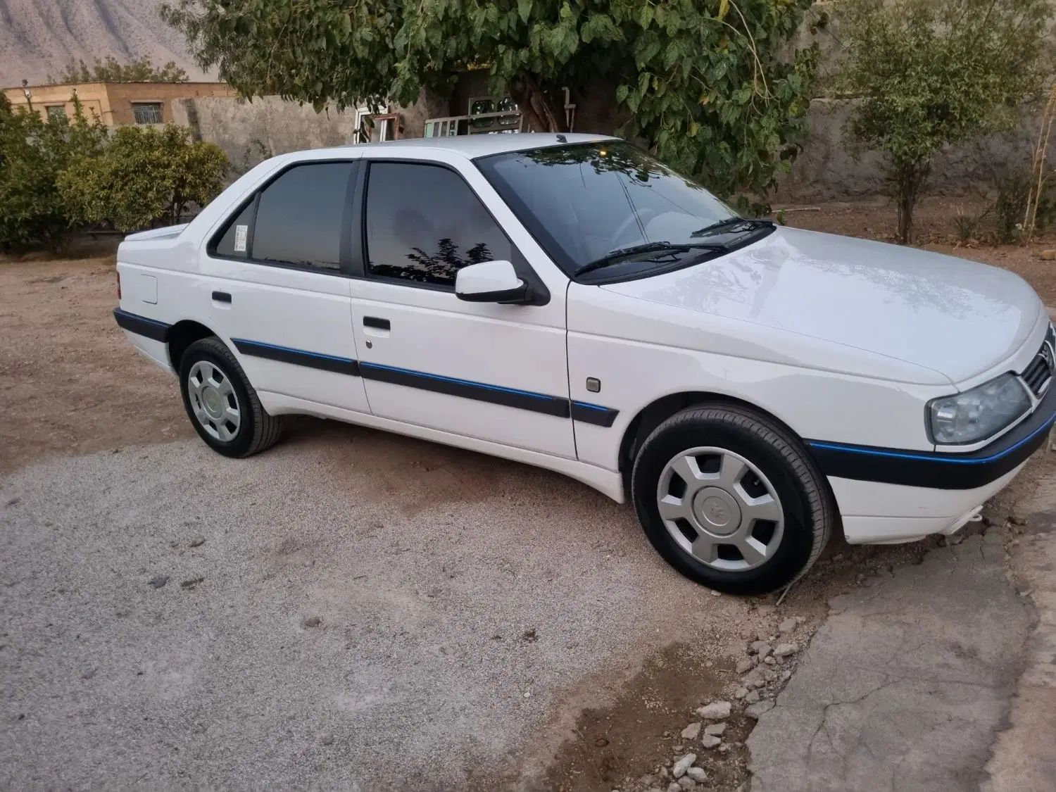 پژو 405 GL - 1369