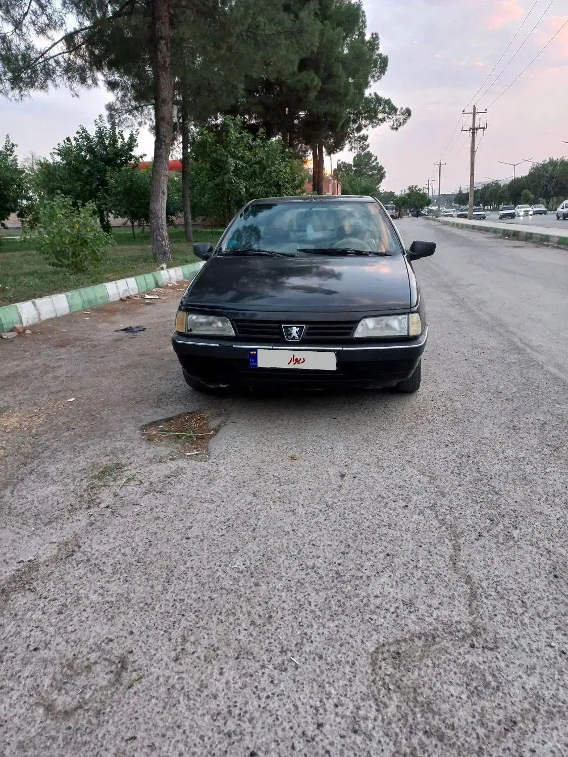 پژو روآ دوگانه سوز - 1387