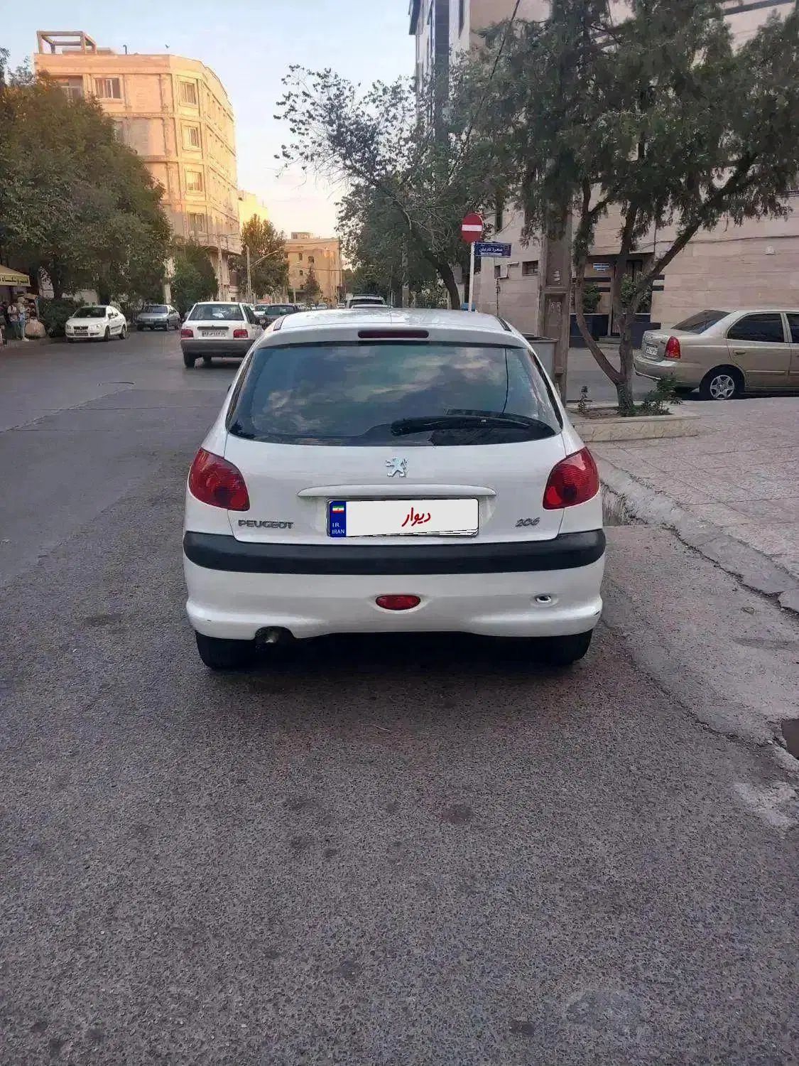پژو 206 تیپ 2 - 1401