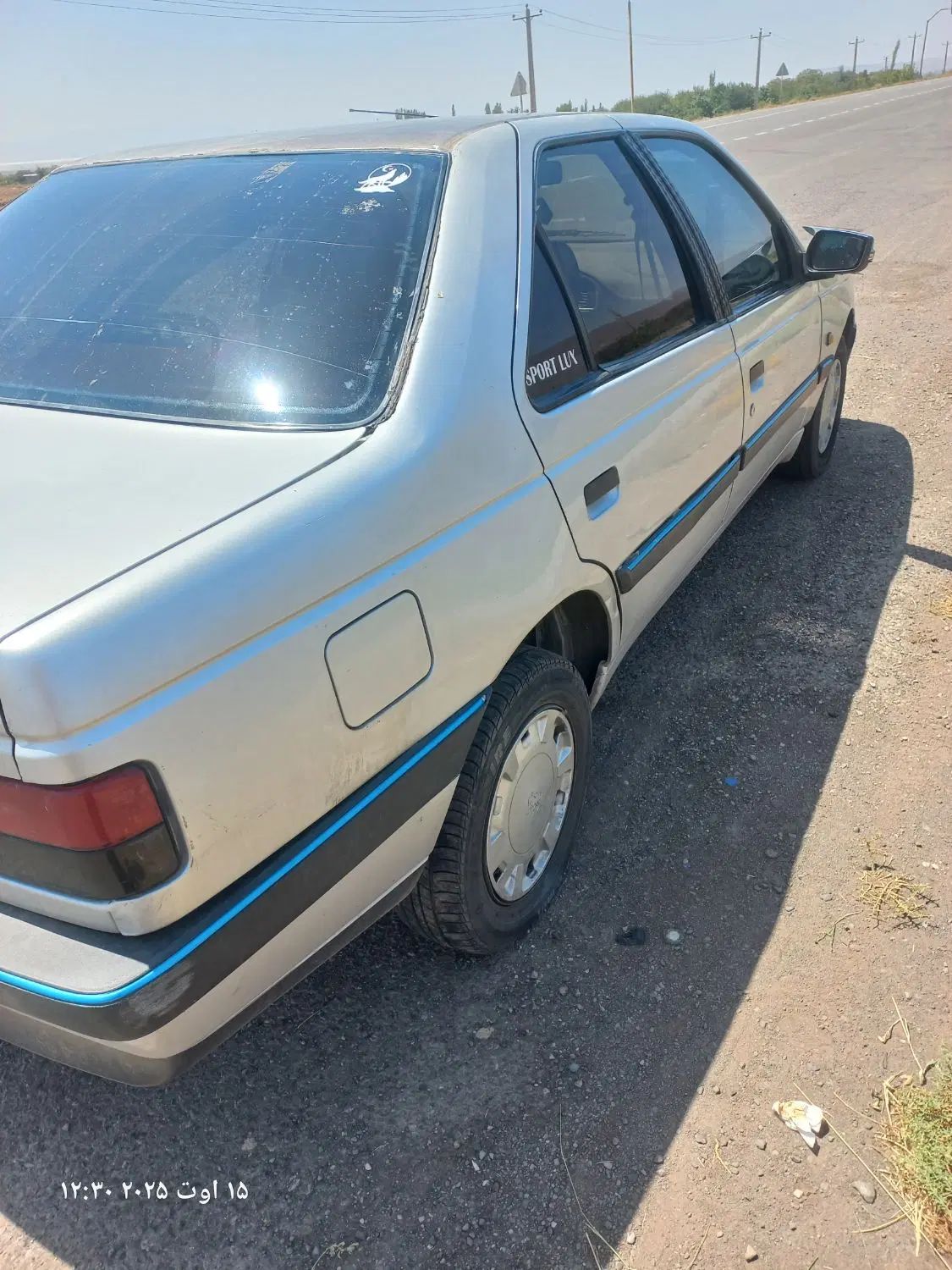 پژو 405 دوگانه سوز GLX - TU5 - 1390