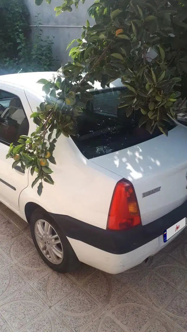 رنو تندر 90 E2 - 1391