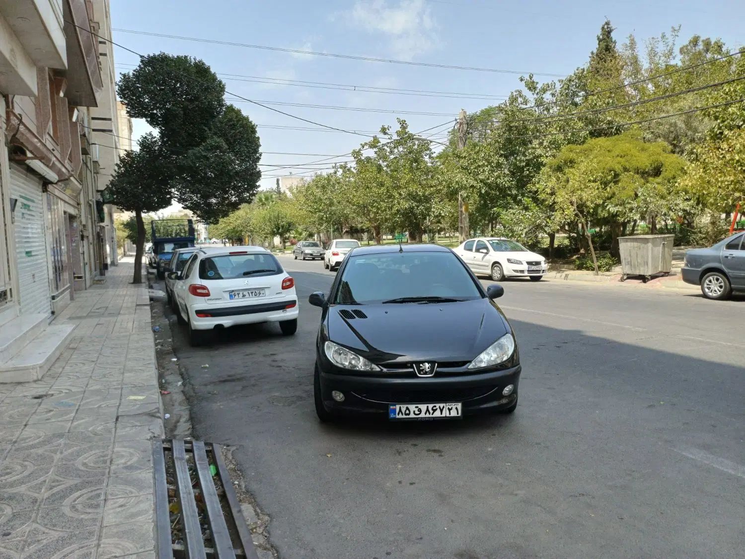 پژو 206 تیپ 5 - 1393