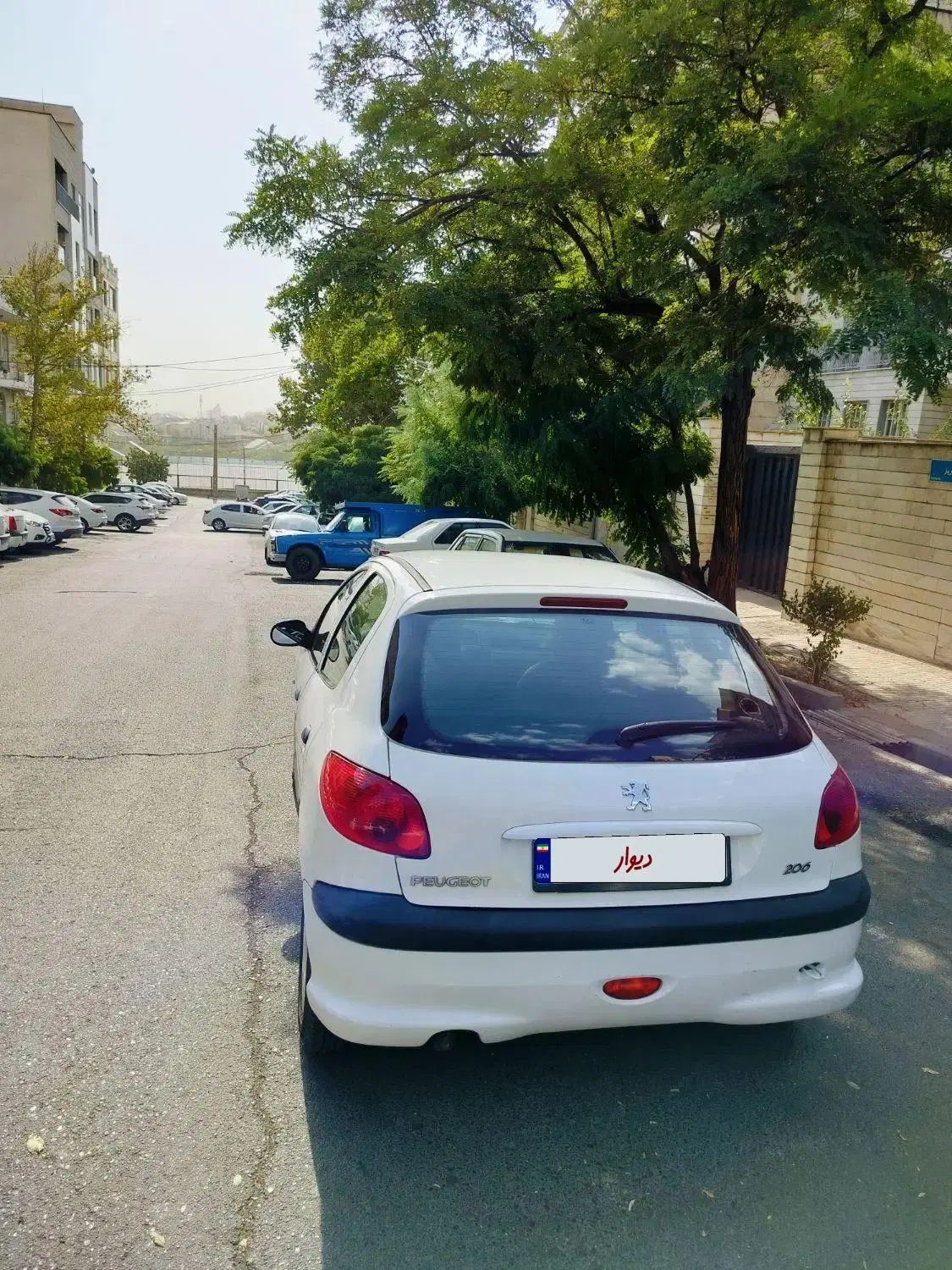 پژو 206 تیپ 2 - 1394