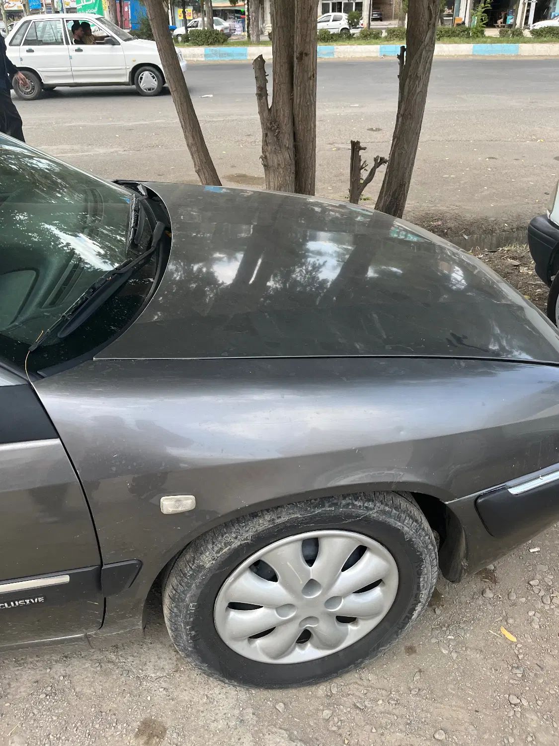 سیتروئن زانتیا SX - 1389