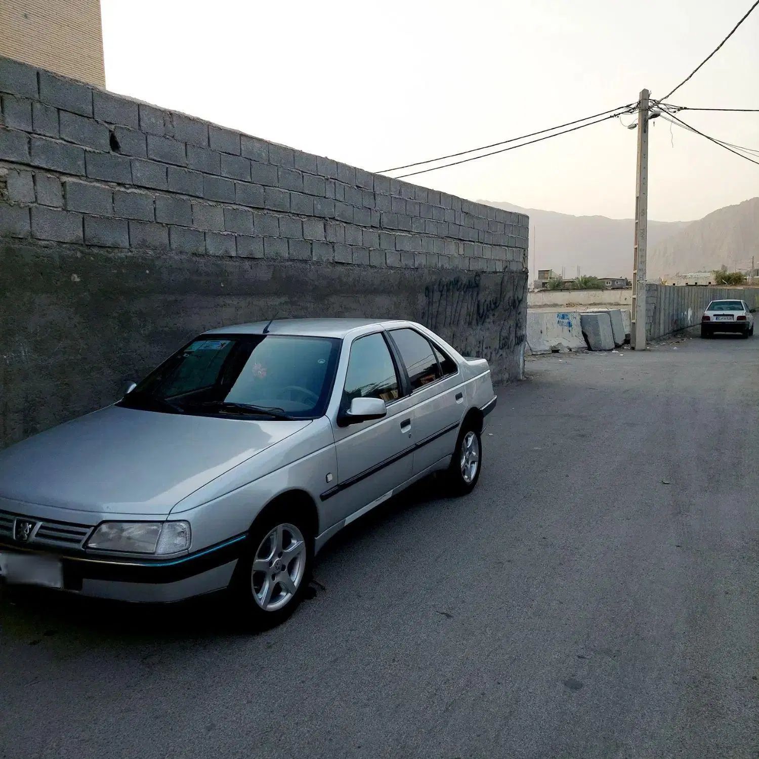 پژو 405 GLX - 1391