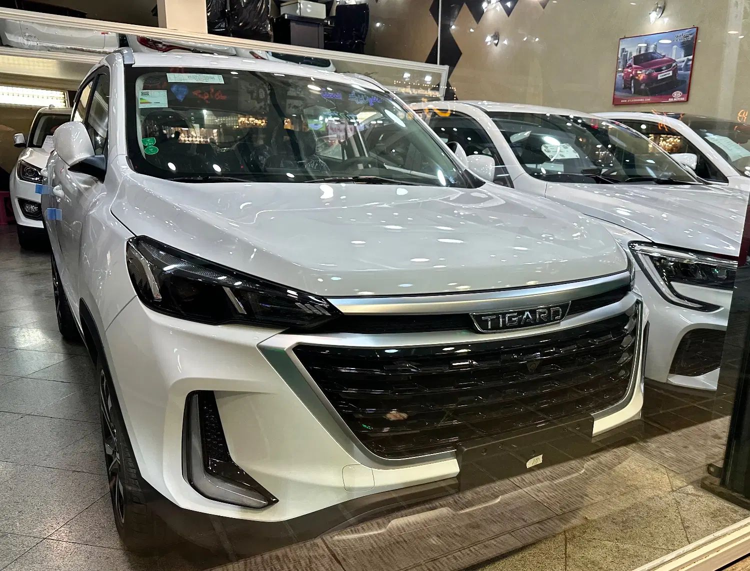 تیگارد X35 ساده - 1404