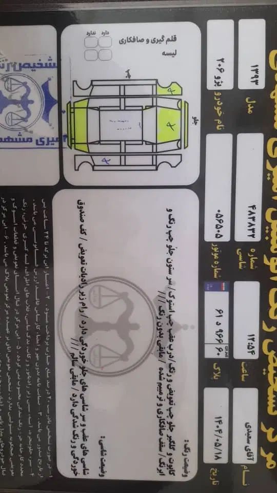 پژو 206 تیپ 5 - 1393