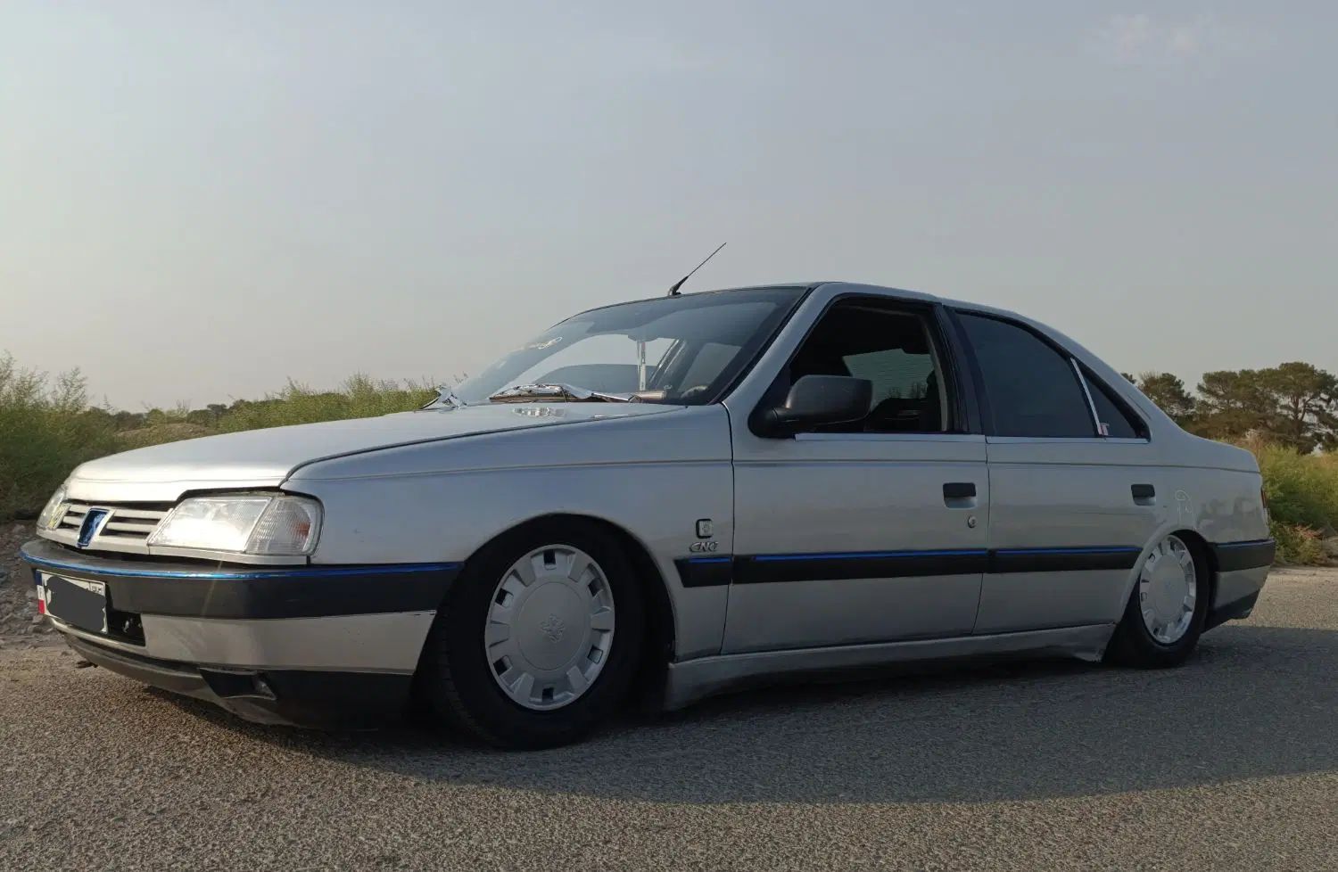 پژو 405 GLX - 1388