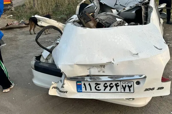 پژو ۲۰۶ صندوق دار v9 - 1389