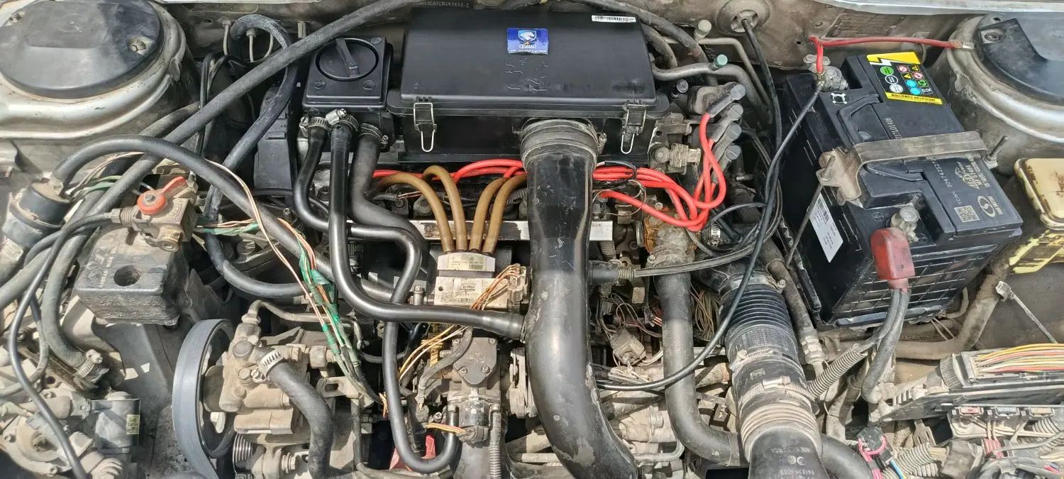 پژو 405 GLX - دوگانه سوز - 1391