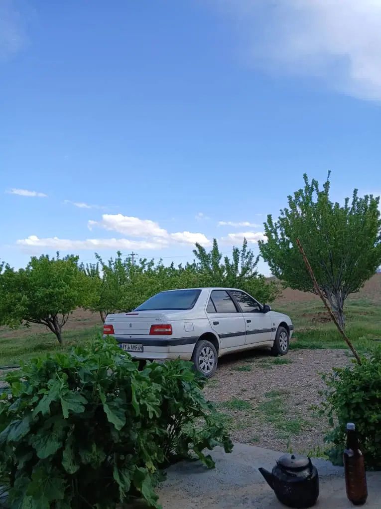 پژو 405 SLX بنزینی TU5 - 1397