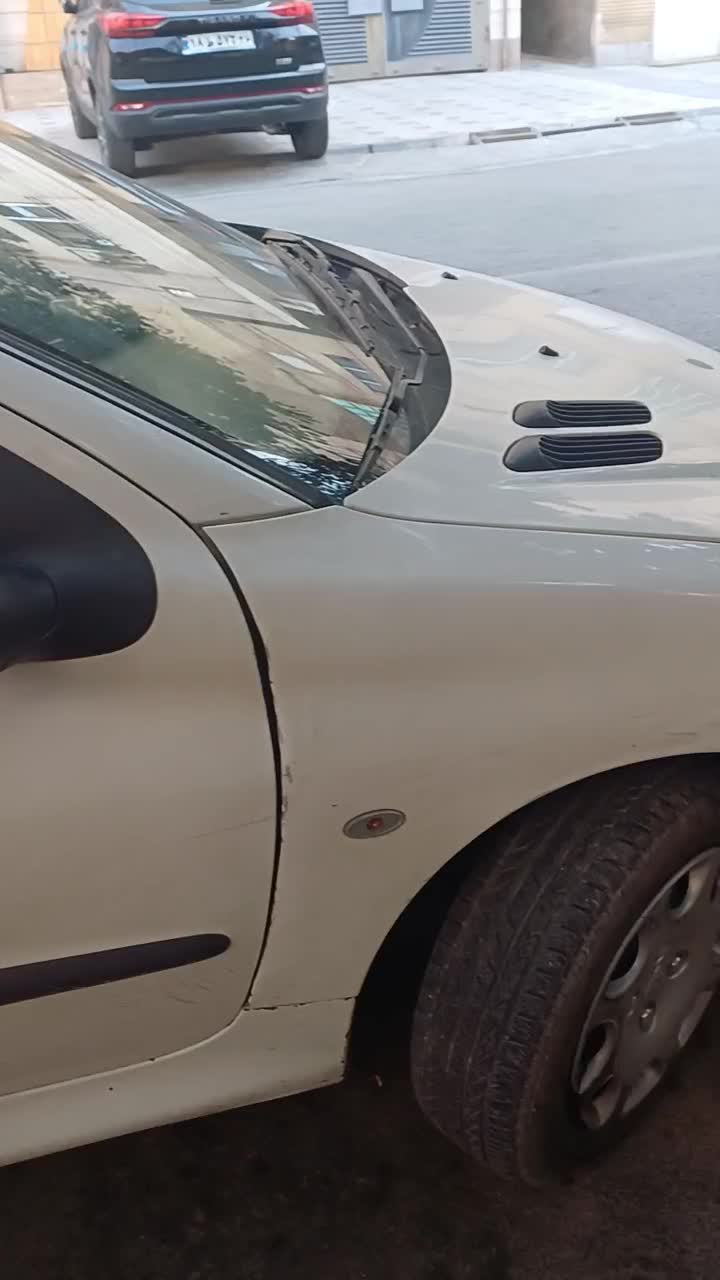 خودرو پژو، ۲۰۶ صندوق دار آگهی ann_20185882