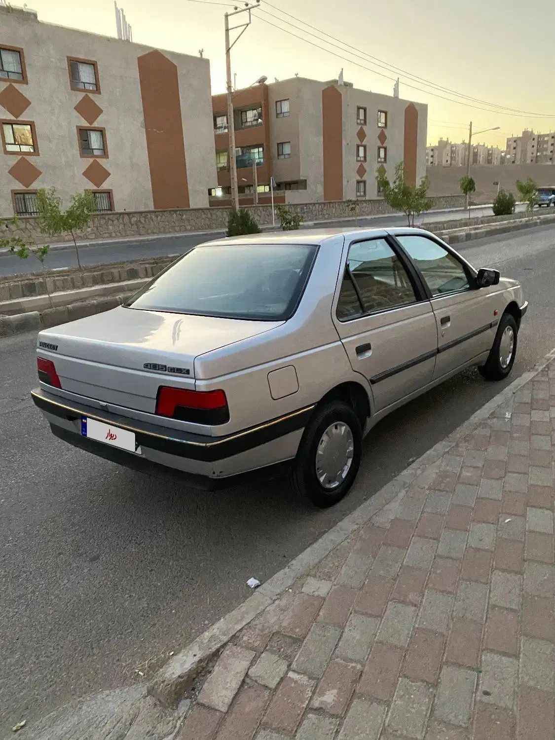 پژو 405 GLX - دوگانه سوز - 1391