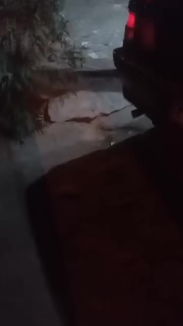 خودرو پژو، 405 آگهی ann_20199440