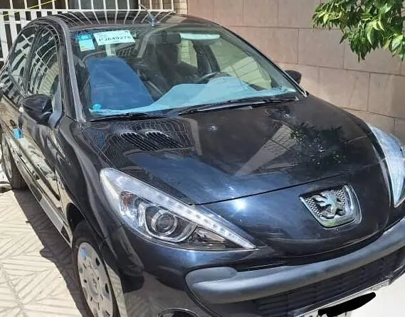 خودرو پژو، 207 آگهی ann_20201832