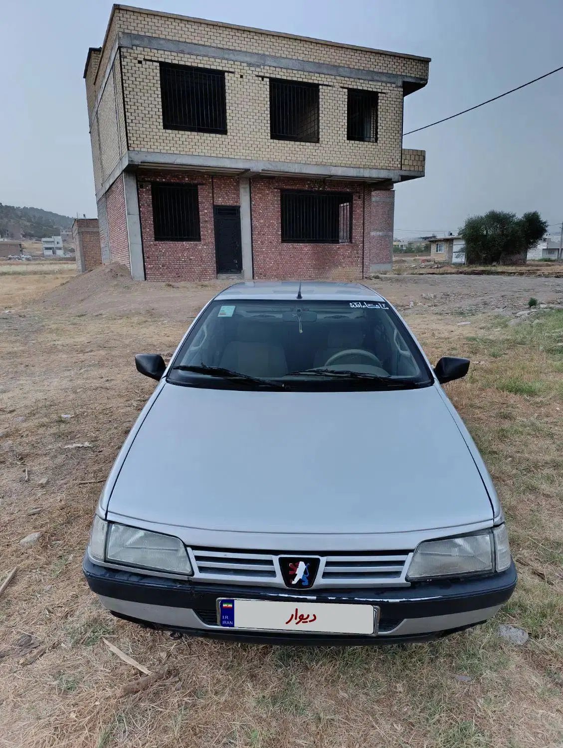 پژو 405 GLX - دوگانه سوز - 1391