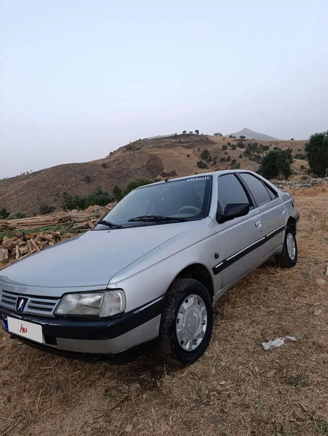 پژو 405 GLX - دوگانه سوز - 1391